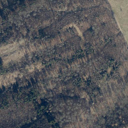 Satellite imagery of Schäder, DE