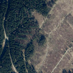 Satellite imagery of Lütgenberg, DE