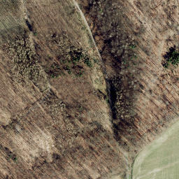 Satellite imagery of Steinerberg, DE