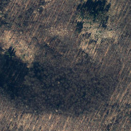 Satellite imagery of Till, DE