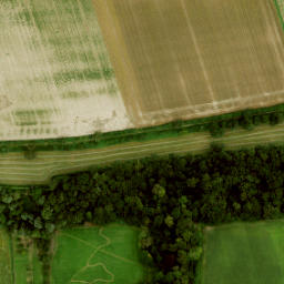 Satellite imagery of Kasteel Loenen, NL