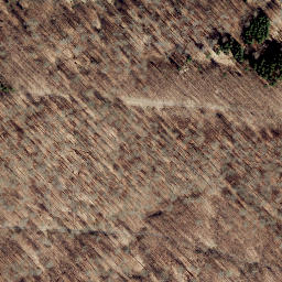 Satellite imagery of Großer Pulskopf, DE