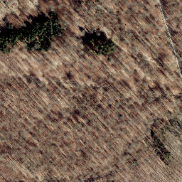 Satellite imagery of Großer Pulskopf, DE