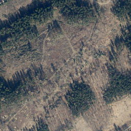 Satellite imagery of Steinbühl, DE