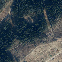 Satellite imagery of Schmalenberg, DE