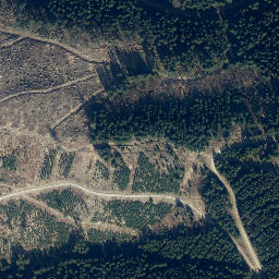 Satellite imagery of Schmalenberg, DE