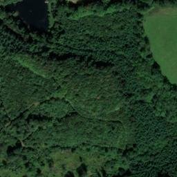 Satellite imagery of Taynton Castle Wood, GB