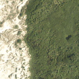 Satellite imagery of Zwarte Hoek, NL