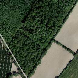 Satellite imagery of Hohes Kreuz, DE