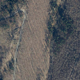 Satellite imagery of Borberg, DE