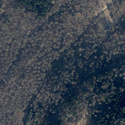 Satellite imagery of Borberg, DE