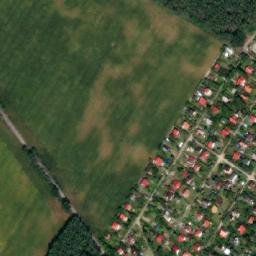 Satelita