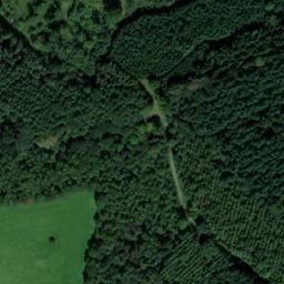 Satellite imagery of Taynton Castle Wood, GB