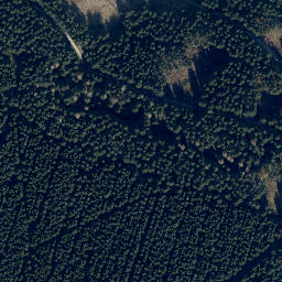 Satellite imagery of Großer Trogtaler Berg, DE