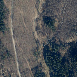 Satellite imagery of Riesberg, DE