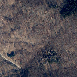 Satellite imagery of Elfas, DE
