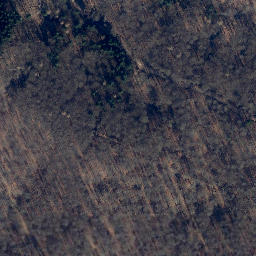 Satellite imagery of Elfas, DE