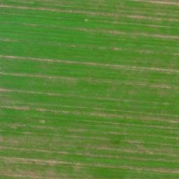 Satellite imagery of Gola - Pałac, PL