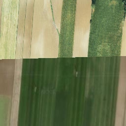 Satellite imagery of Grabonóg - Pałac, PL