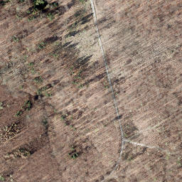 Satellite imagery of Westerberg, DE