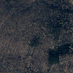 Satellite imagery of Heinebuchenberg, DE