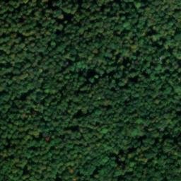 Satellite imagery of Kippberg, DE