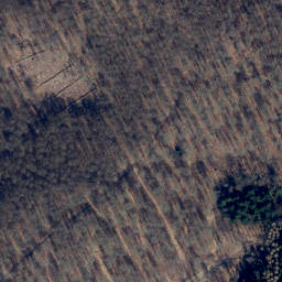Satellite imagery of Elfas, DE