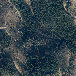 Satellite imagery of Töberschekopf, DE