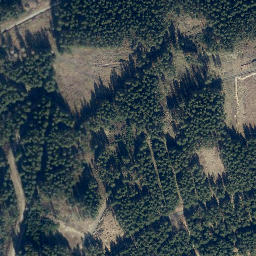 Satellite imagery of Schulberg, DE