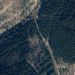 Satellite imagery of Töberschekopf, DE