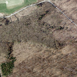 Satellite imagery of Scharpenberg, DE
