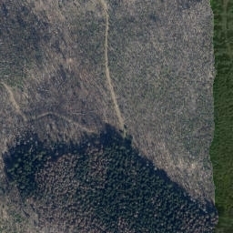 Satellite imagery of Bauerberg, DE