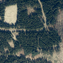 Satellite imagery of Große Wulpke, DE