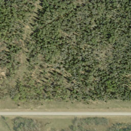 Satellite imagery of Bishop Hill, CA