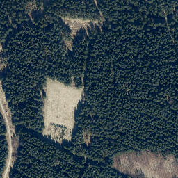 Satellite imagery of Große Wulpke, DE