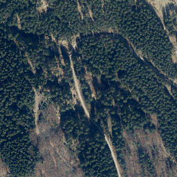 Satellite imagery of Große Wulpke, DE