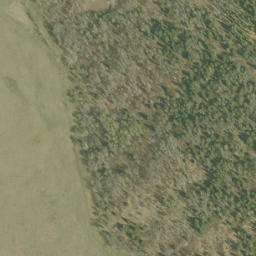 Satellite imagery of Bishop Hill, CA