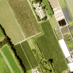 Satellite imagery of Ophemert, NL