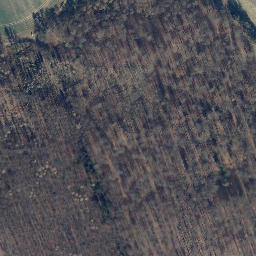 Satellite imagery of Äbtissinberg, DE