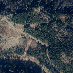 Satellite imagery of Großer Steffentalskopf, DE