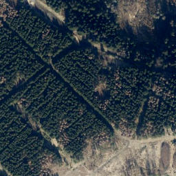 Satellite imagery of Großer Steffentalskopf, DE