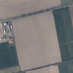 Satelita
