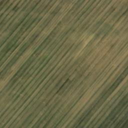 Satellite imagery of survey_point, DE