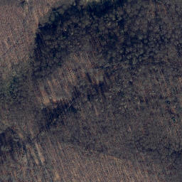 Satellite imagery of Burgberg, DE