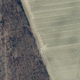 Satellite imagery of Kühler, DE