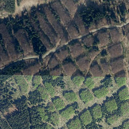 Satellite imagery of Spitzenberg, DE