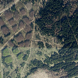Satellite imagery of Spitzenberg, DE