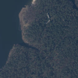 Satelita