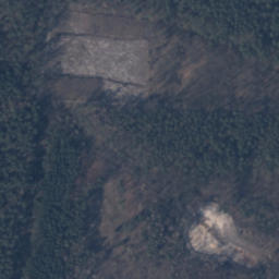 Satelita
