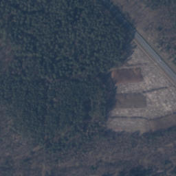 Satelita